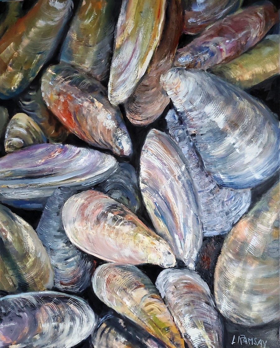 TriColor Mussels Revisited 30x24 (contact to inquire)