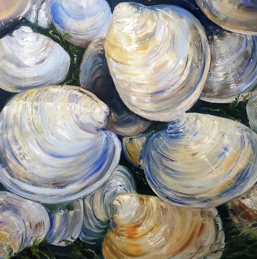Pastel Clams 36x36 - contact to inquire