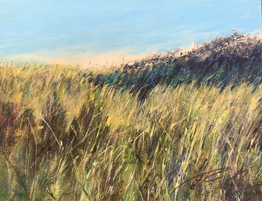 Grasses at Morning - contact to inquire